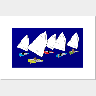 Cats & Dogs Racing Optimist Sailing Dingies Posters and Art